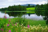 Lakescape in Northern Europe