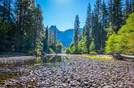 Yosemite river van Ton Kool thumbnail