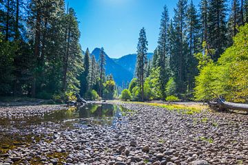 Yosemite river by Ton Kool