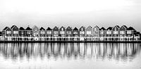 Kleurrijke huizen aan de Rietplas in Houten (zwartwit) van PvdH Fotografie thumbnail