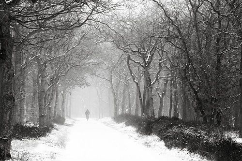 Crossen door de bossen