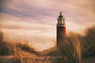 Lighthouse Texel van Maurice van de Waarsenburg thumbnail