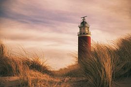 Lighthouse Texel by Maurice van de Waarsenburg