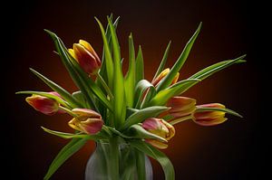 Tulpen
