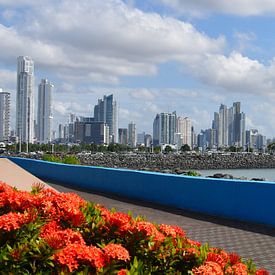 The Cinta Costera promenade in summer by Claude Laprise
