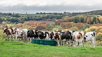 Das Treffen