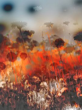 The Fields L van Zand