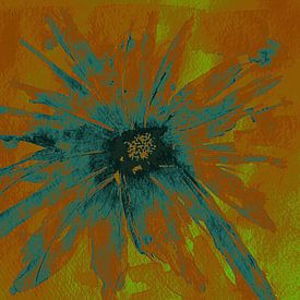 Blüte in voller Pracht. von Ireen Bos