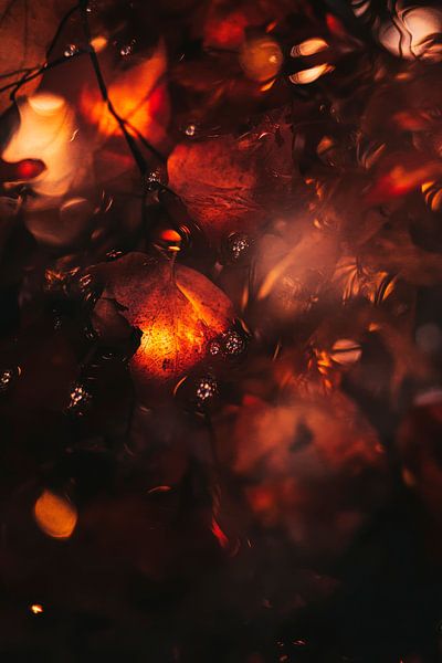 Lichterspiel im Dunkeln – Warm und Sanft von Poster Art Shop