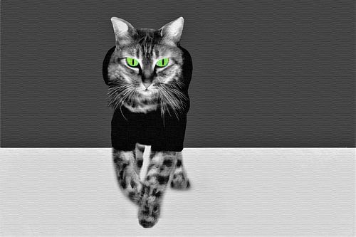 Coole kat met groene ogen loopt over het doek