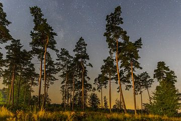 starry sky on the veluwe by Karin Riethoven
