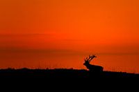 Abendrot