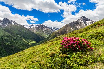 Schilderachtige zomerdag in de bergen van Andreas Föll