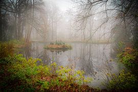Magic forest by Dirk van Egmond