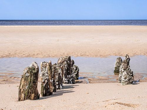 Buhnen bei Ebbe