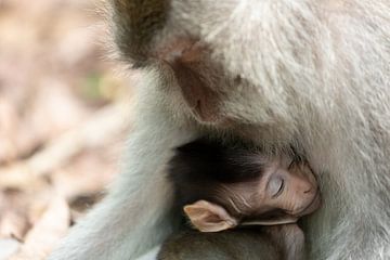 Mère et enfant sur Vincent Keizer