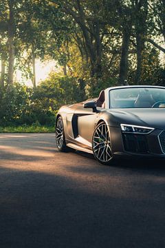 Audi R8 V10 in een Adembenemend Groene Landschap tijdens de Zonsondergang van Sebastiaan van 't Hoog