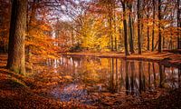 Goldener Herbst ("Goldener Herbst")