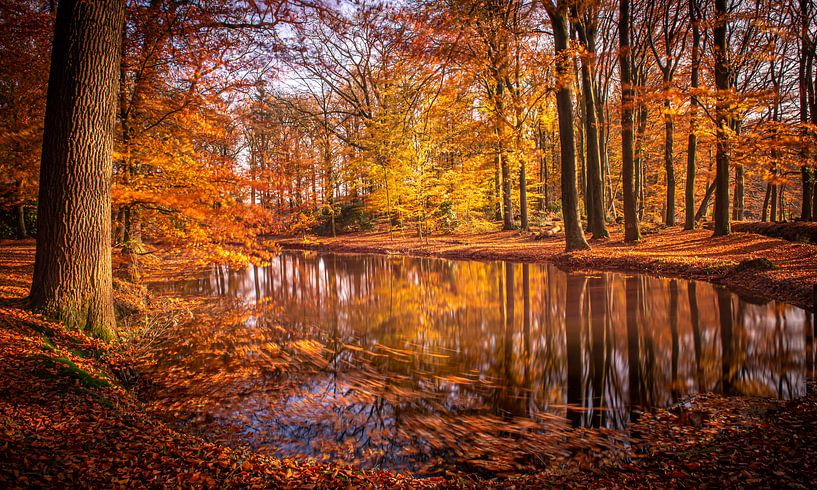 Goldener Herbst (&quot;Goldener Herbst&quot;) von Henk v Hoek