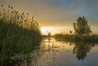 Landschap, zonsopkomst bij molen met weerspiegeling in het water van Marcel Kerdijk thumbnail