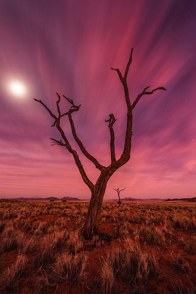 magic moments by Raymond Hoffmann