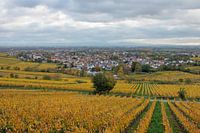 Deidesheim on the Wine Route