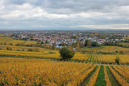 Deidesheim an der Weinstraße
