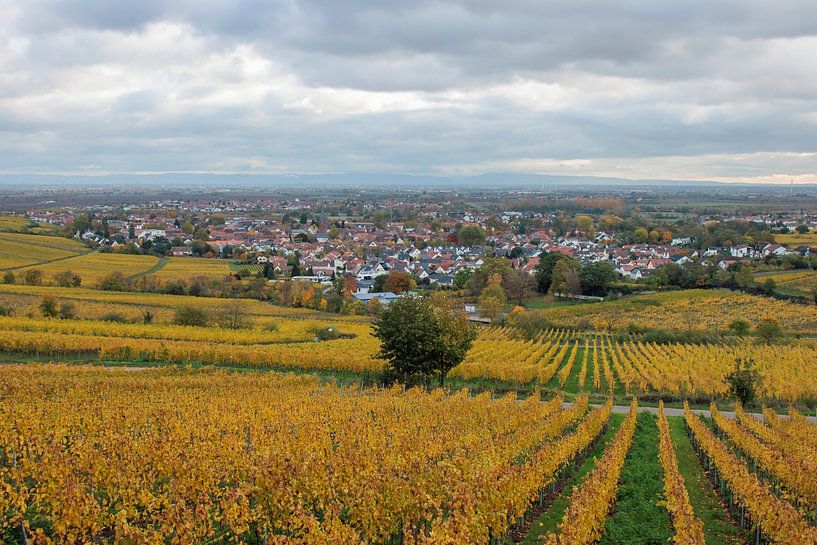 Deidesheim on the Wine Route by Jürgen Hust
