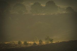Un soupçon de lumière