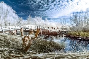 Brücke in den Carnisse Grienden