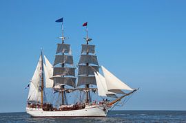 Europa by Rodney Pauwels