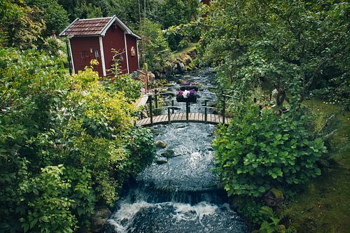 Fruitbomen bij een beekje met een bruggetje voor een rood houten huis in Zweden.