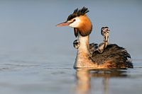 Junge Familie