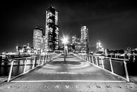Rijnhavenbrug in Rotterdam van Etienne Hessels thumbnail