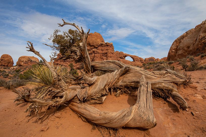 Wood and Rocks by Heidie Focus
