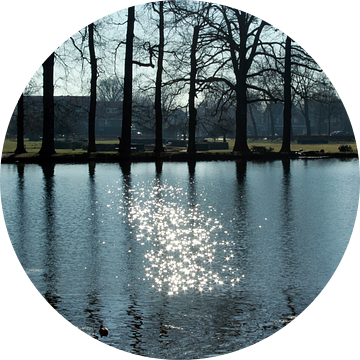 De Baroktuin in Arnhem van Ilse Schoneveld