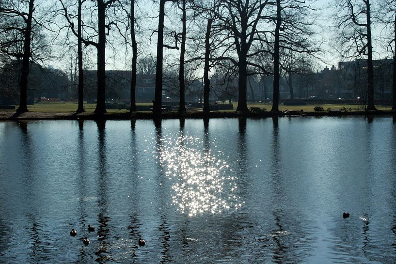 De Baroktuin in Arnhem by Ilse Schoneveld