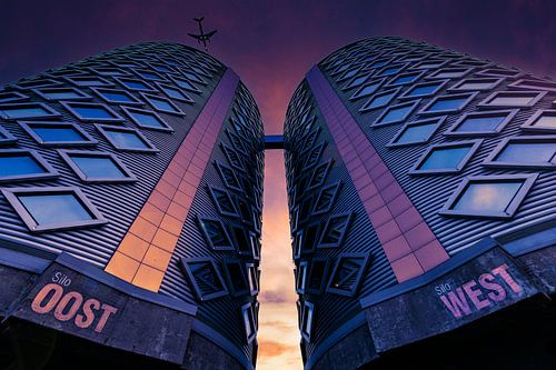 De silo's van de suikerfabriek in Halfweg