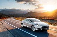 Tesla Model S van Art Indi thumbnail