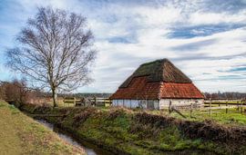 Horse stable by jacky weckx