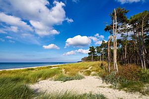 Ostsee - Weststrand auf dem Darss