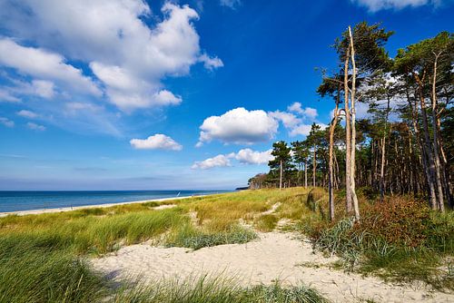 Oostzee - Weststrand aan de Darss