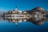 Bled