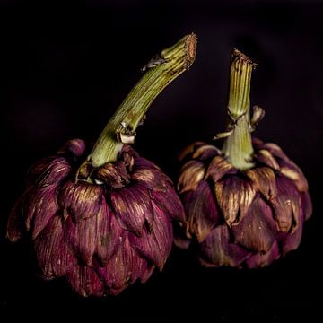 Artisjok Twins van Willy Sybesma