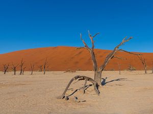 Sossusvlei Namibia von Omega Fotografie