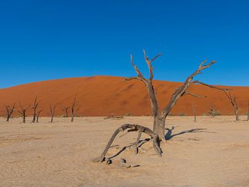 Sossusvlei Namibië van Omega Fotografie