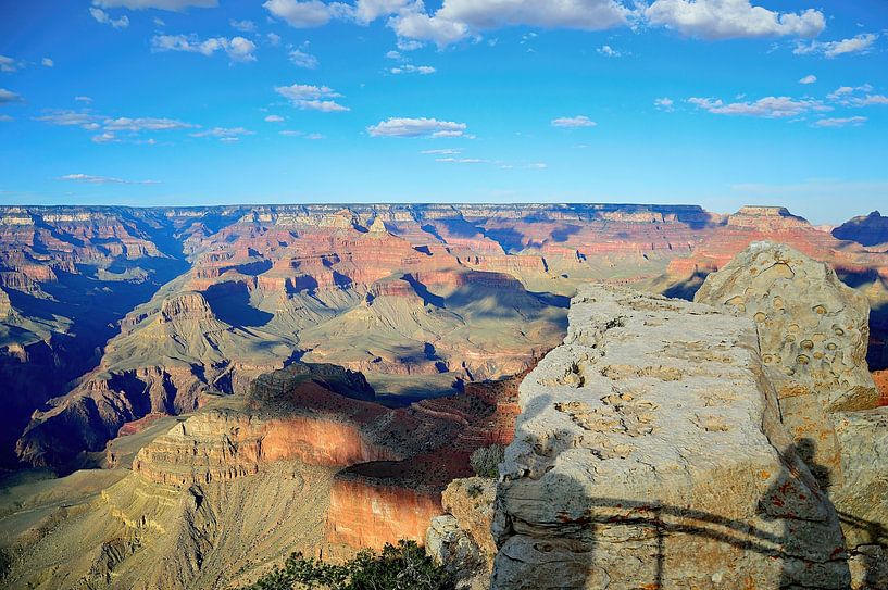 Golden glow by Frank's Awesome Travels