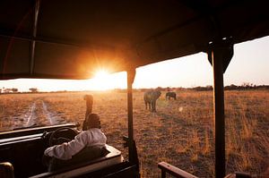 Ultimate safari Botswana von Lotje Hondius