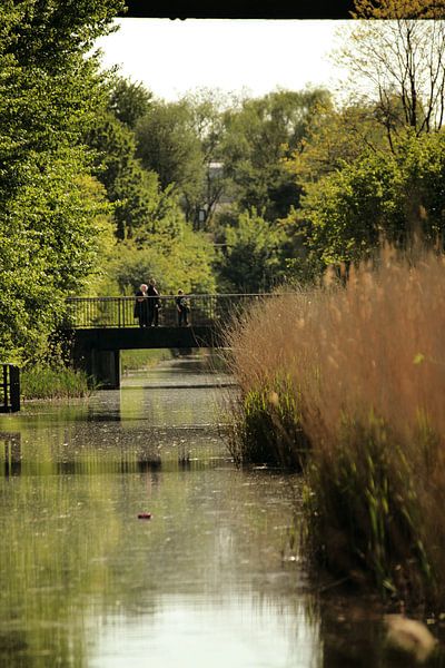 Parc paysager par Eveline van Beusichem