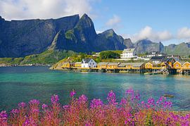 Sakrisoy in Lofoten by Reinhard  Pantke